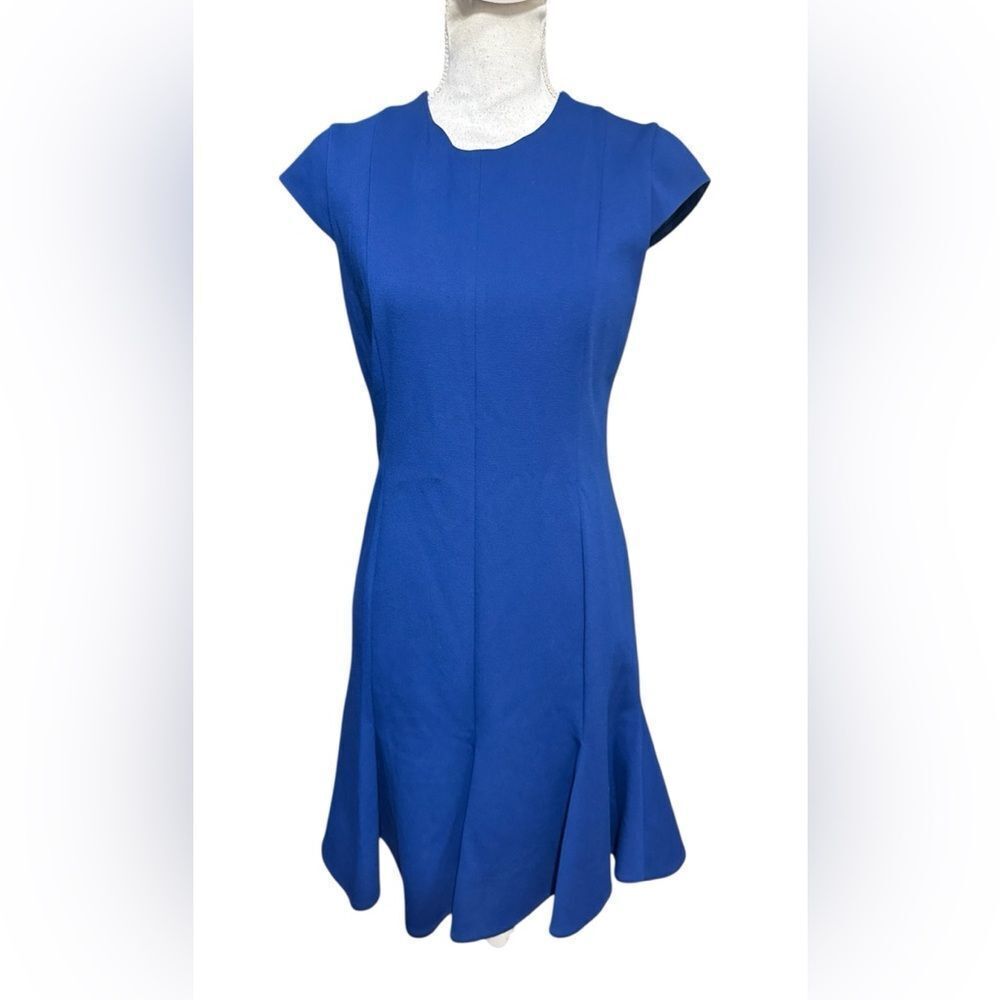 Akris Punto blueβsheath drop waist pleats cupβ sleeve dress size 8